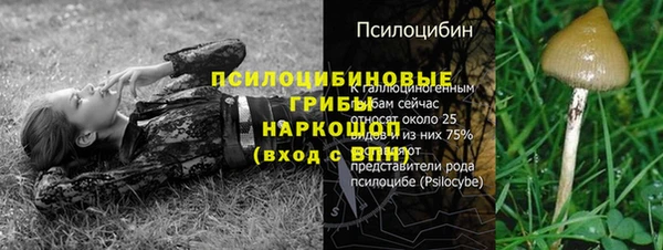 марки lsd Абаза
