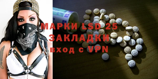 apvp Алексин