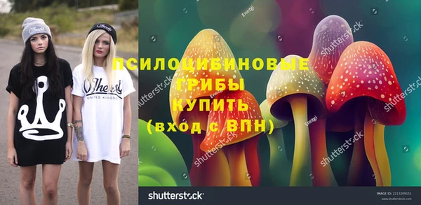 apvp Алексин