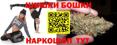прущие крисы Ачхой-Мартан