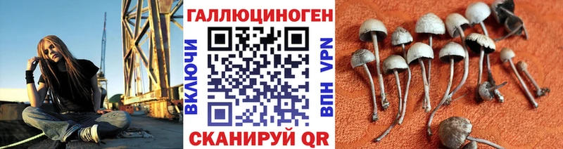 Галлюциногенные грибы Magic Shrooms  KRAKEN вход  Барнаул 